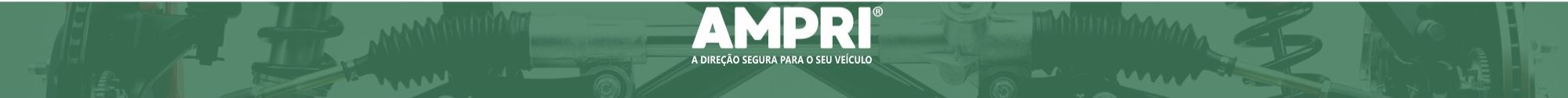 Ampri Linha de produtos: especializada em sistema de direção (bombas hidráulicas, caixas de direção